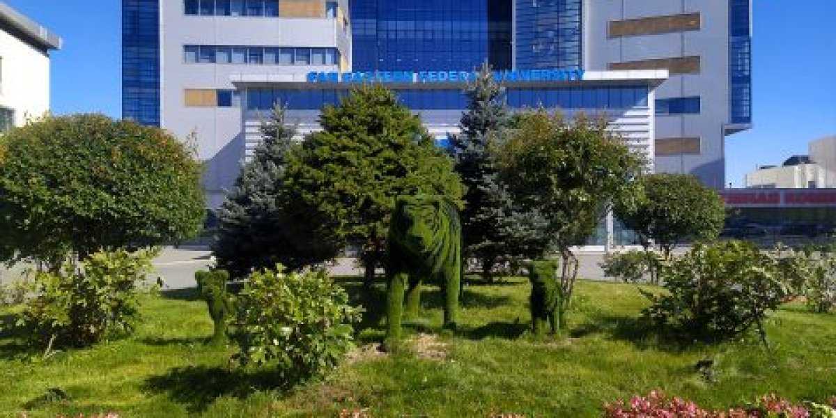 «Непорядочно и даже преступно»: Госдума поддержала квоты на платные места в вузах