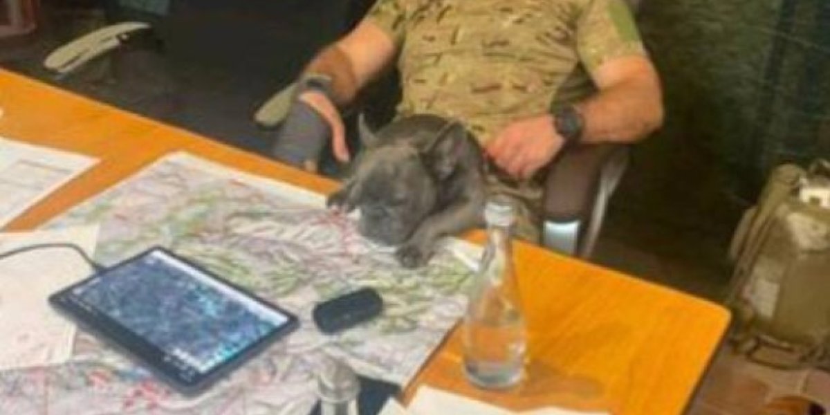 Гурулёв: «Поставим точку – ошеломляющую». Новый командующий выложил секретные карты в Сеть. Россия спасает Киев от удара Гурулёв: «Поставим точку – ошеломляющую». Новый командующий выложил секретные карты в Сеть. Россия спасает Киев от удара