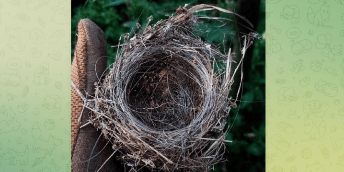 «Любой командный пункт мгновенно обращают в пыль»: Главная проблема, о которой говорил Рогозин «Любой командный пункт мгновенно обращают в пыль»: Главная проблема, о которой говорил Рогозин