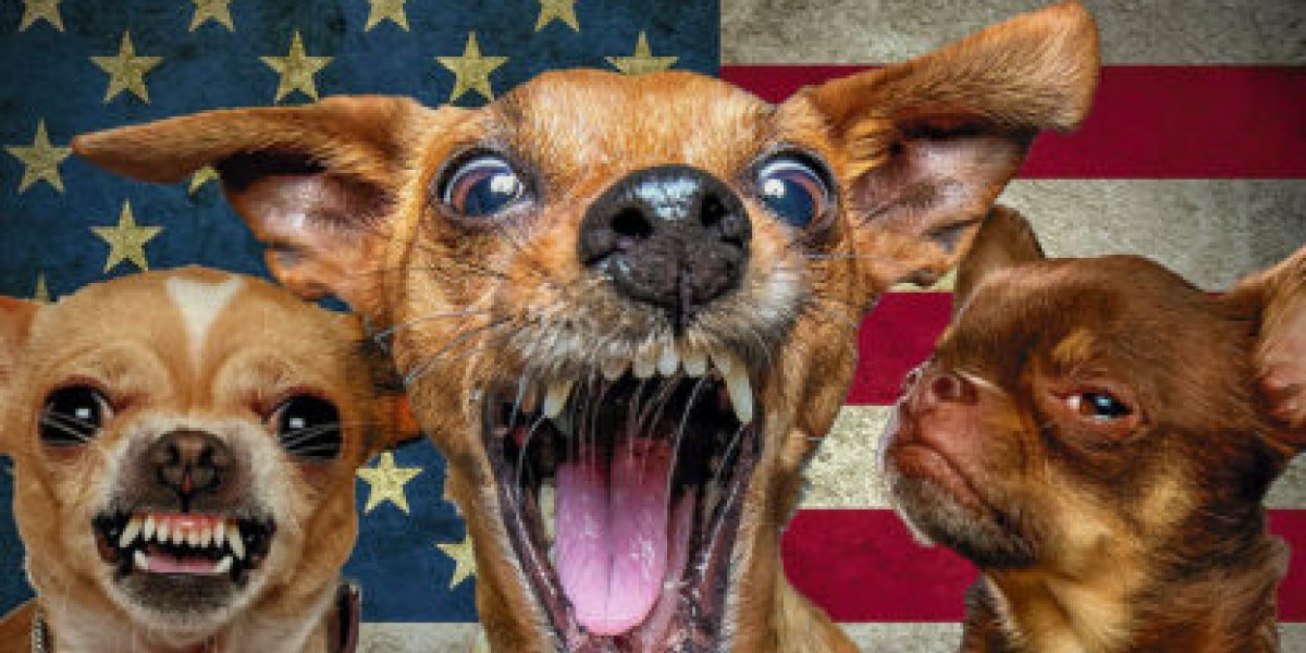 Прибалтийские шакалы: как продали суверенитет Венесуэлы за улыбку США Прибалтийские шакалы: как продали суверенитет Венесуэлы за улыбку США