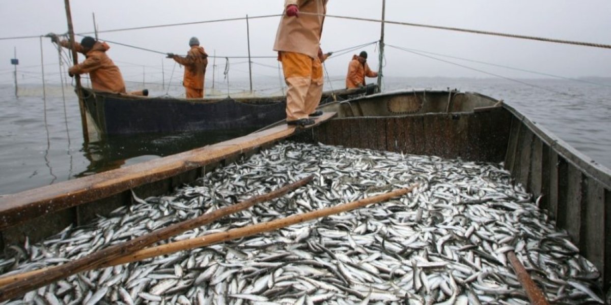 Торговать в убыток государству – национальная российская традиция: это глупость, головотяпство, предательство? Торговать в убыток государству – национальная российская традиция: это глупость, головотяпство, предательство?